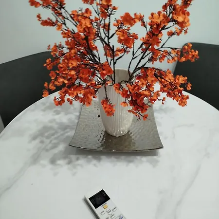 Valery * 모스타르